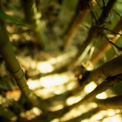 1920 x 1080 HD Wallpapers 2333